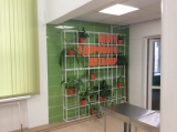 Более 13,5 тысяч ульяновских школьников получают горячее питание бесплатно